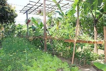 Hoian Joy Homestay Hoi An